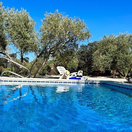 Refugio Andaluz Con Piscina Entre Olivos Villanueva de Tapia Bagian luar foto