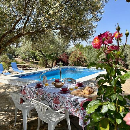 Refugio Andaluz Con Piscina Entre Olivos Villanueva de Tapia Bagian luar foto