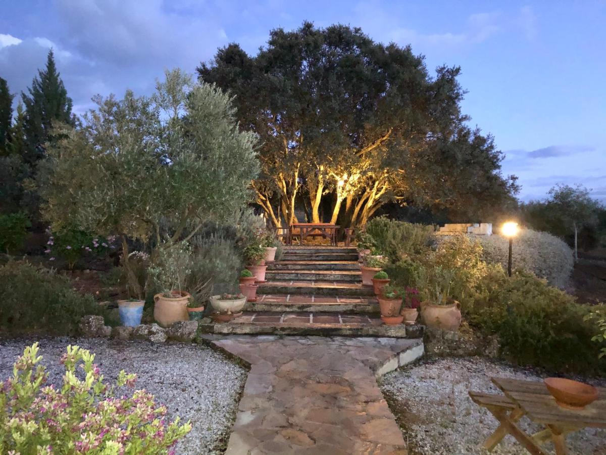 Refugio Andaluz Con Piscina Entre Olivos Villanueva de Tapia Bagian luar foto