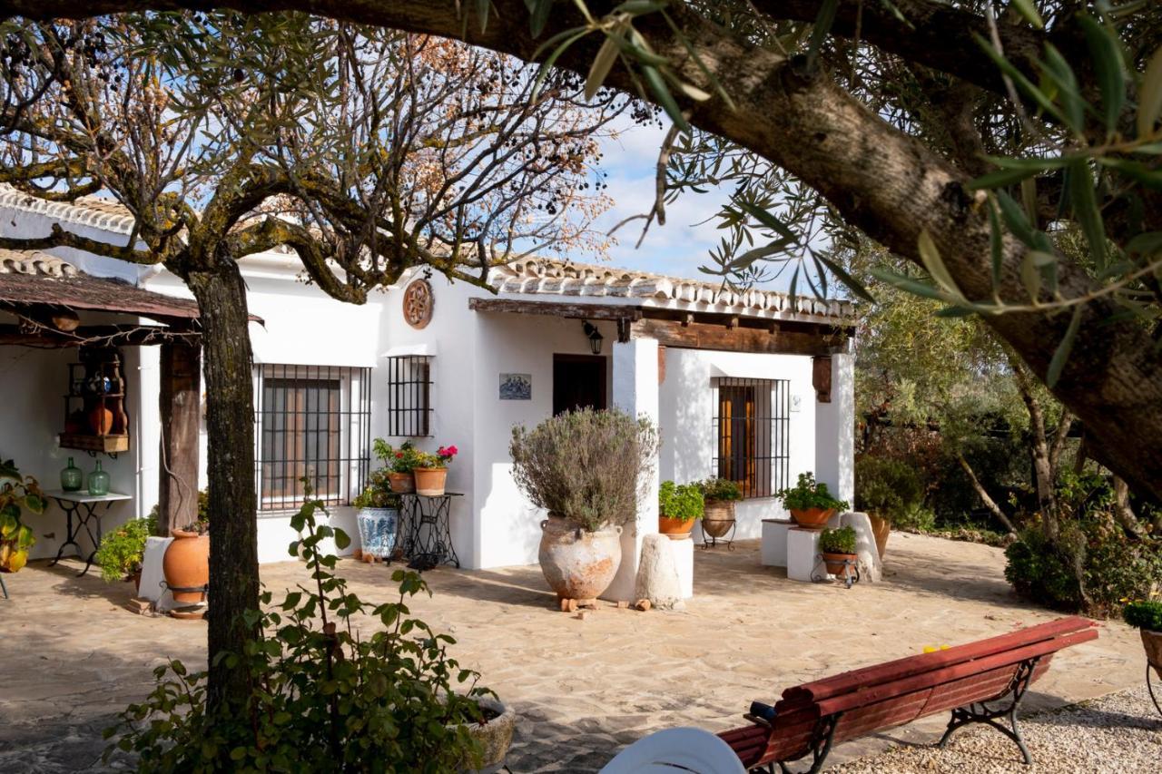 Refugio Andaluz Con Piscina Entre Olivos Villanueva de Tapia Bagian luar foto