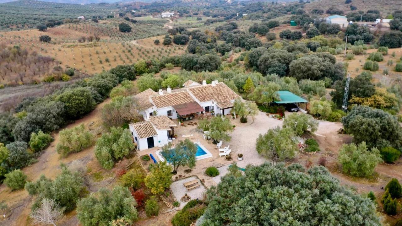 Refugio Andaluz Con Piscina Entre Olivos Villanueva de Tapia Bagian luar foto