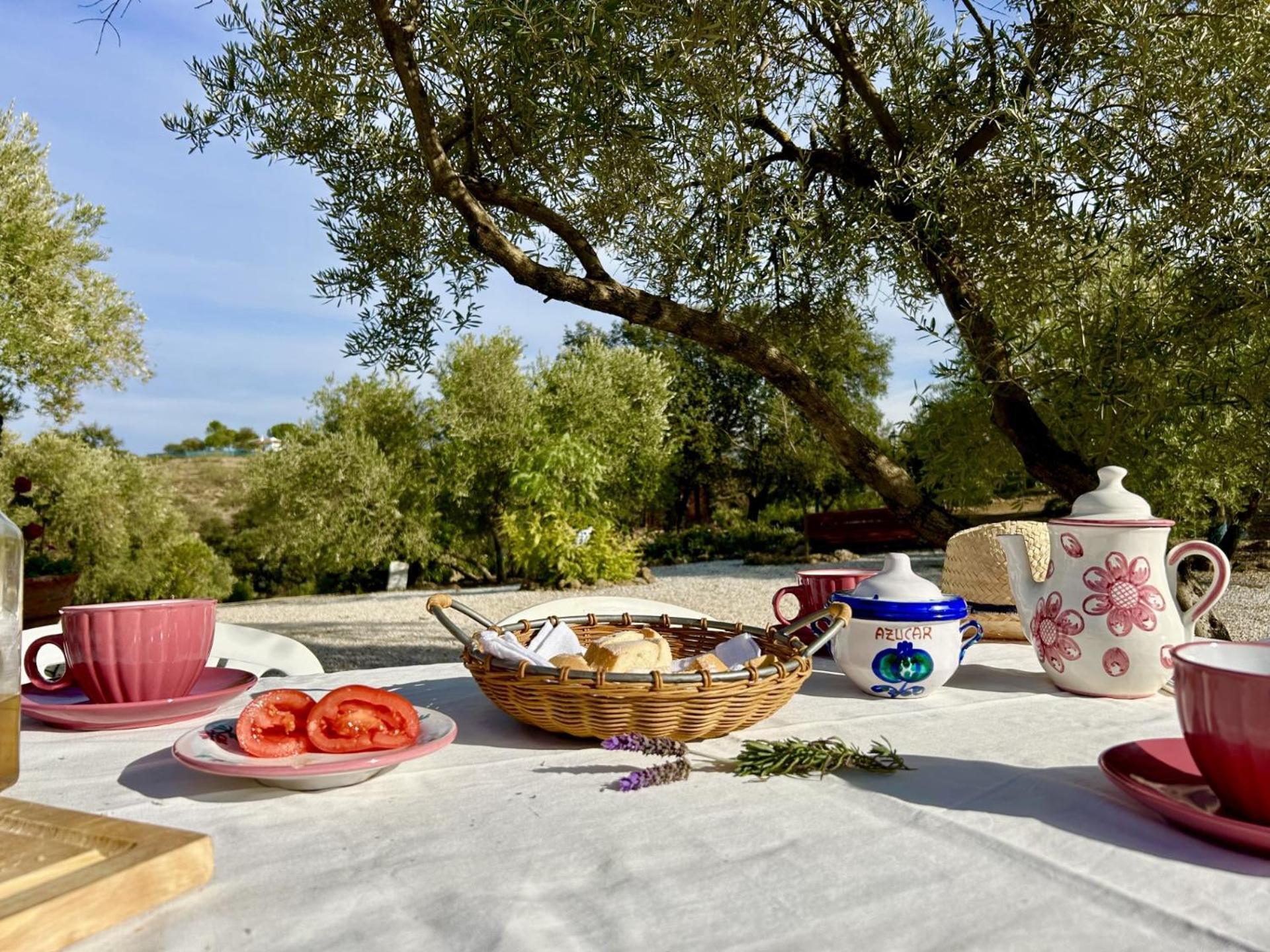 Refugio Andaluz Con Piscina Entre Olivos Villanueva de Tapia Bagian luar foto