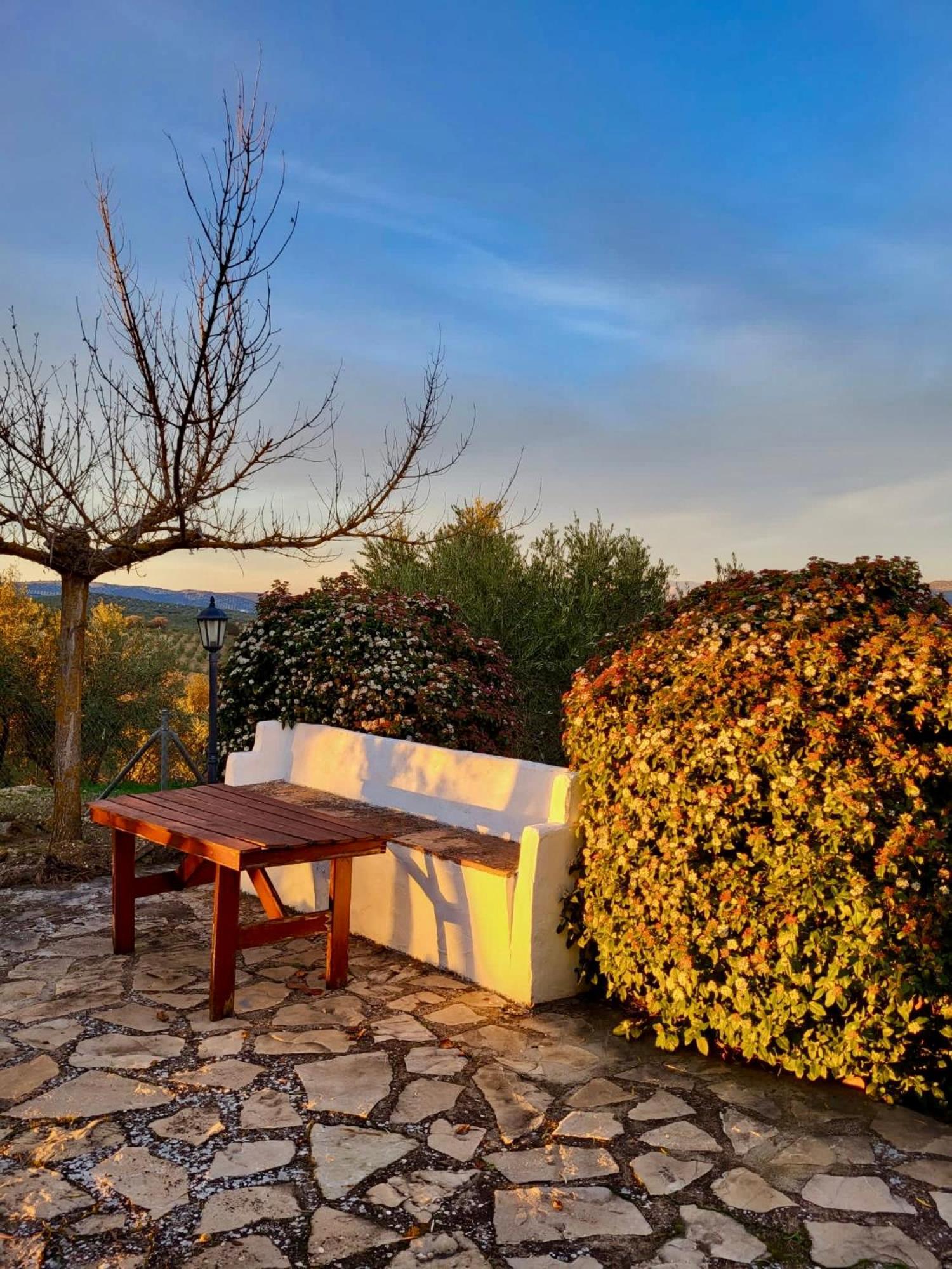 Refugio Andaluz Con Piscina Entre Olivos Villanueva de Tapia Bagian luar foto