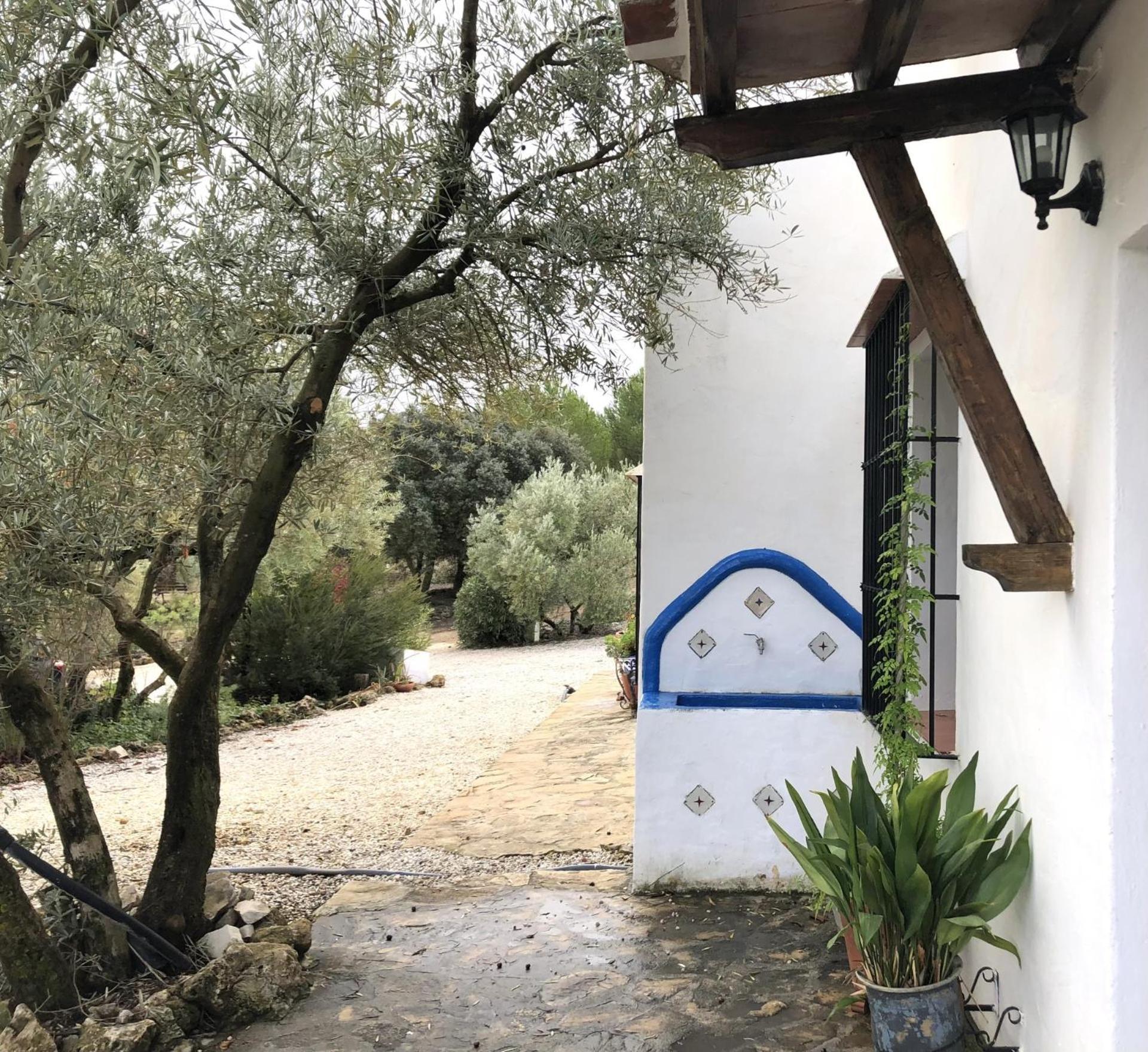 Refugio Andaluz Con Piscina Entre Olivos Villanueva de Tapia Bagian luar foto
